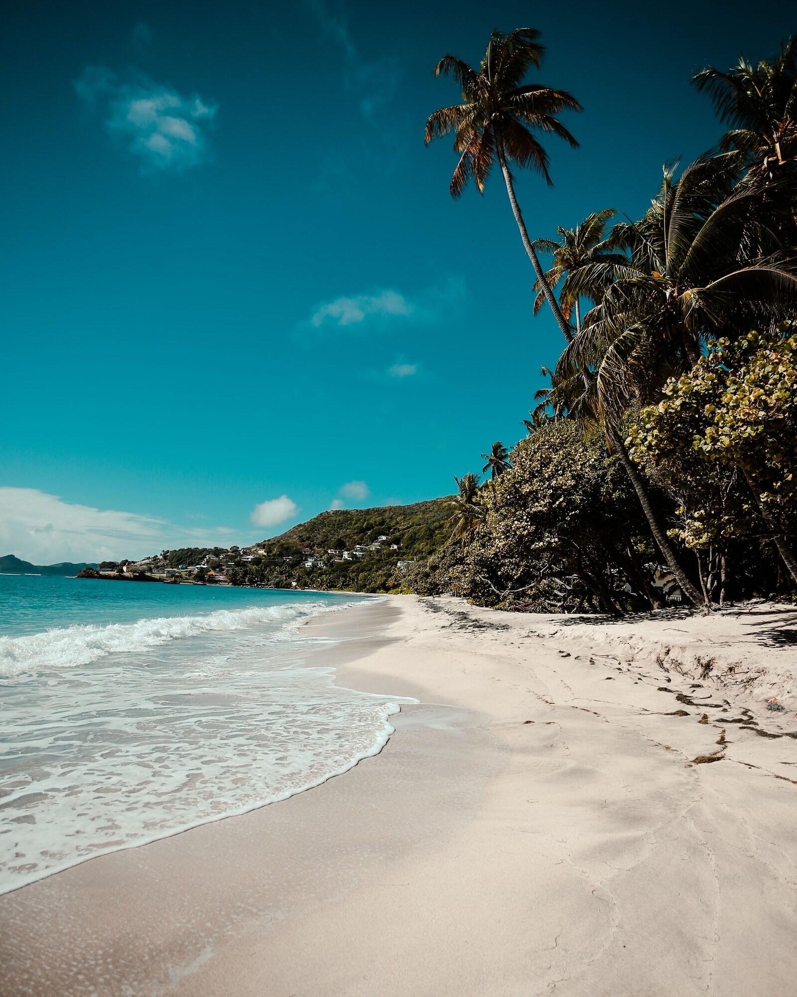 Bequia Beach Port Elizabeth Esterno foto